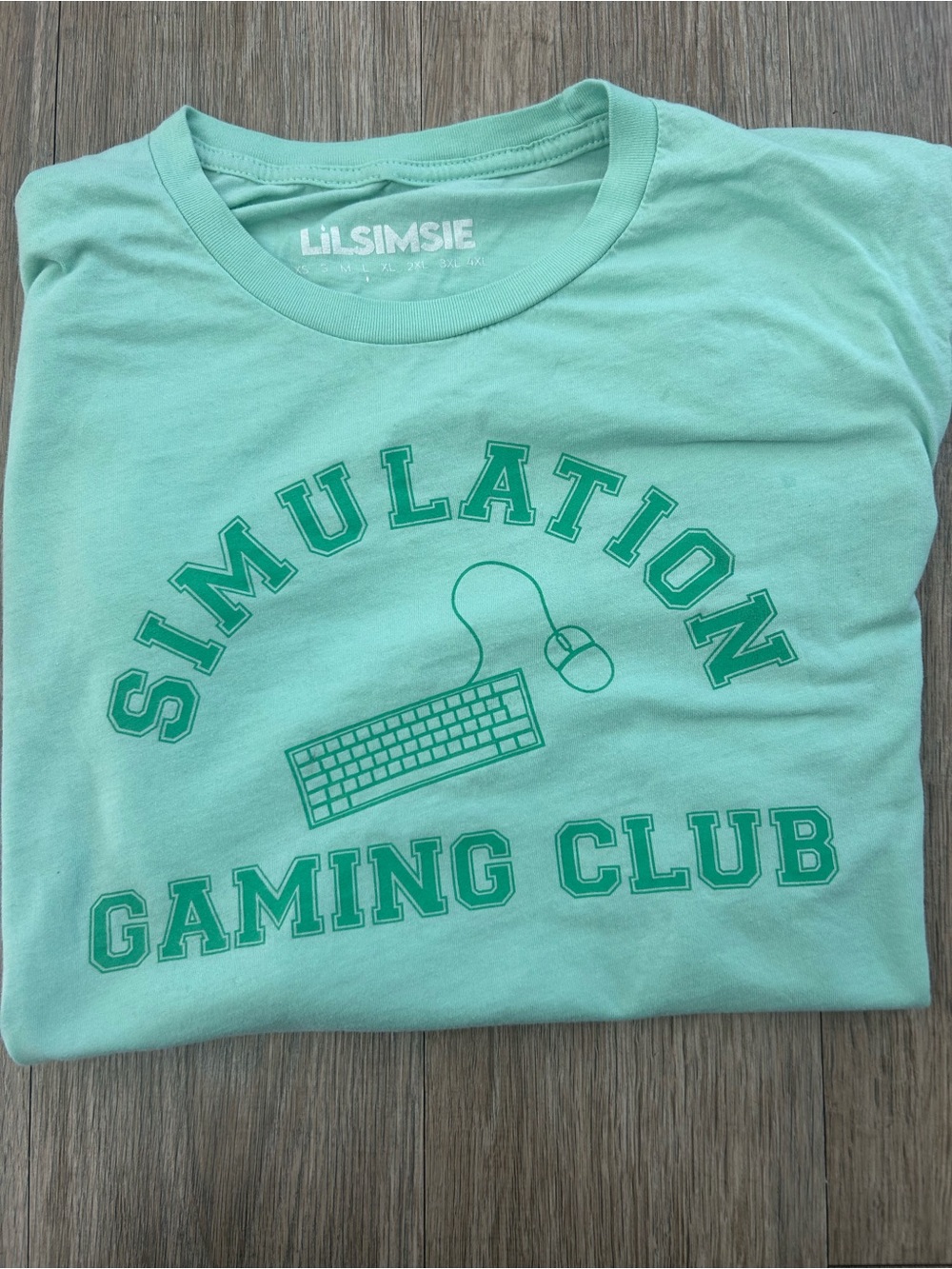 Lilsimsie Simulation Gaming Club T-Shirt - Mint Green